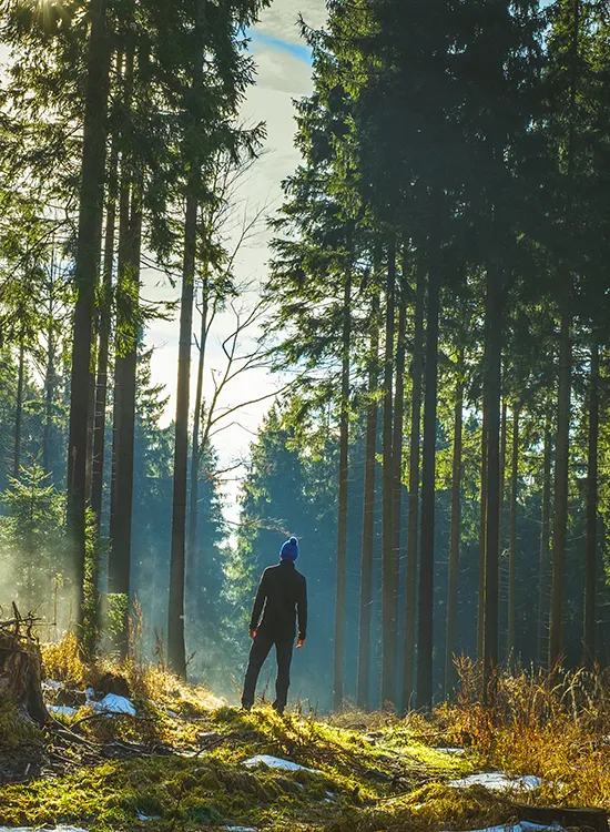 Man in forest