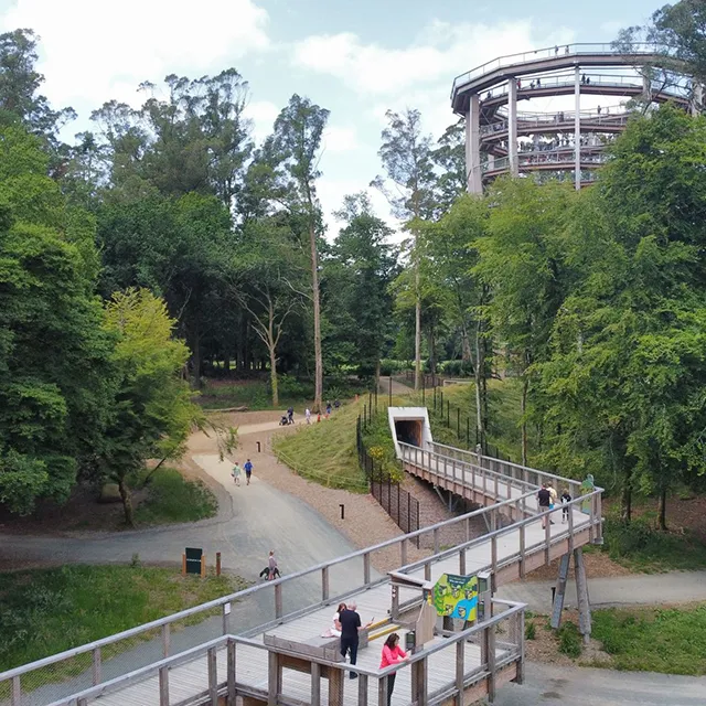 Treetop Walk